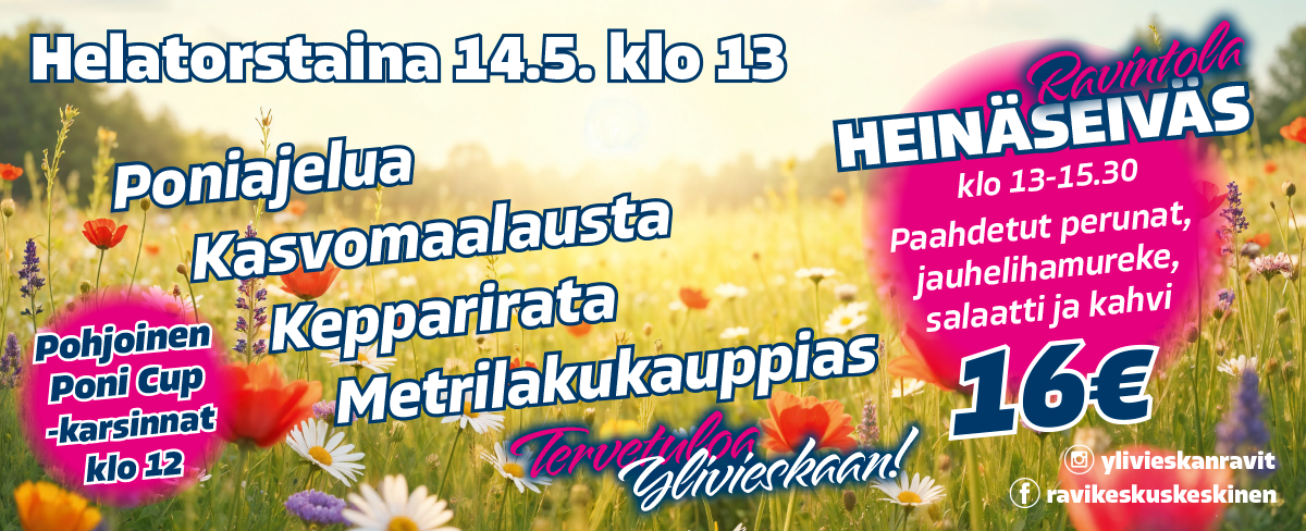 Helätin netti 2